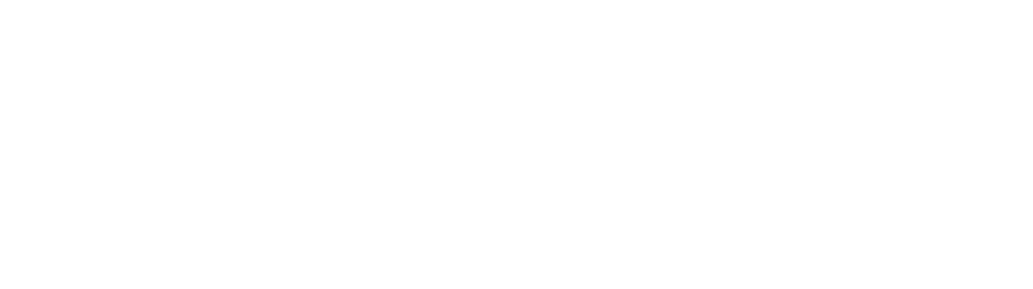 Sanatizi