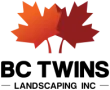 BC Twins Logo — Sanatizi Referansı